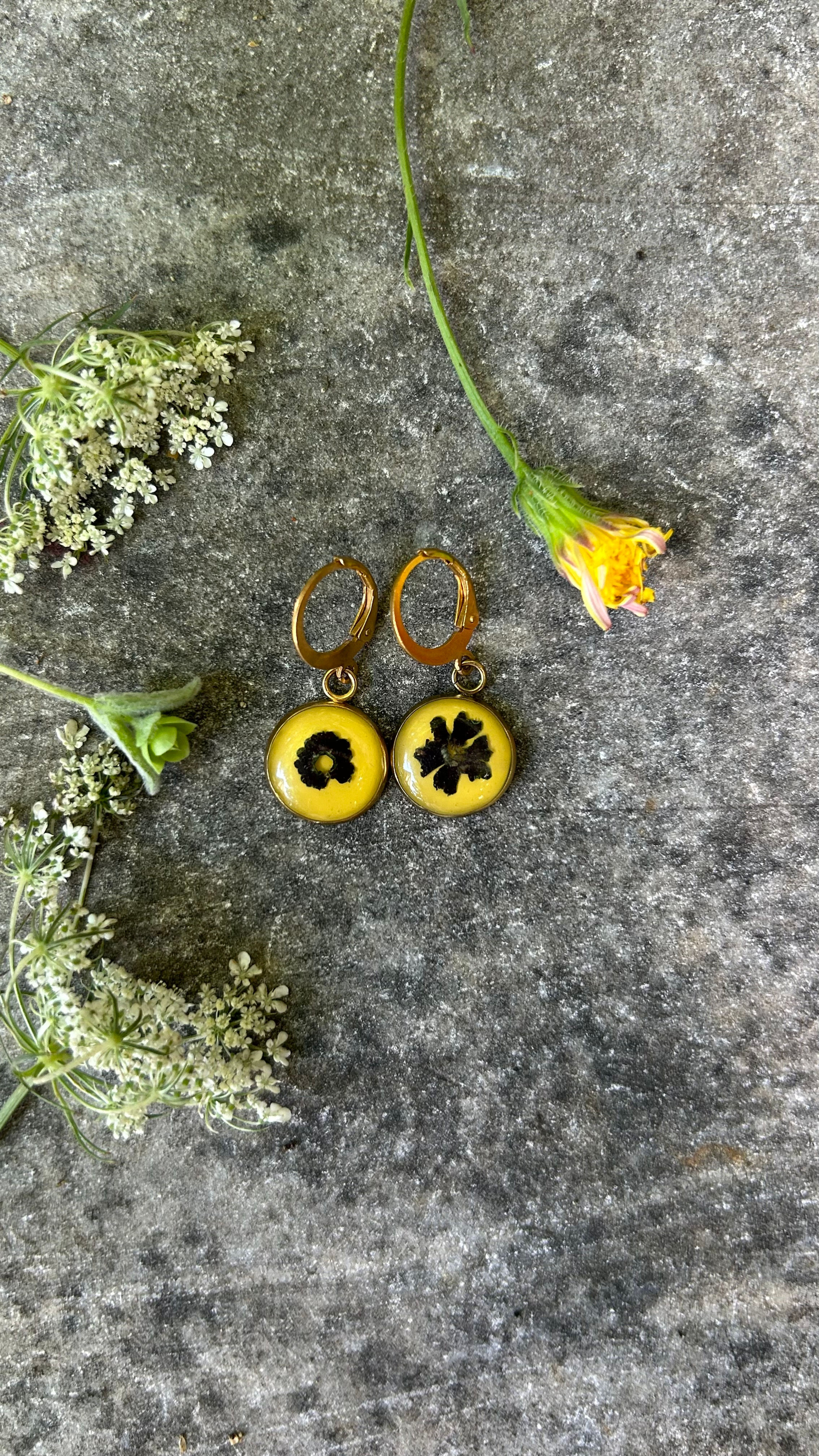 Monachelle con Primula