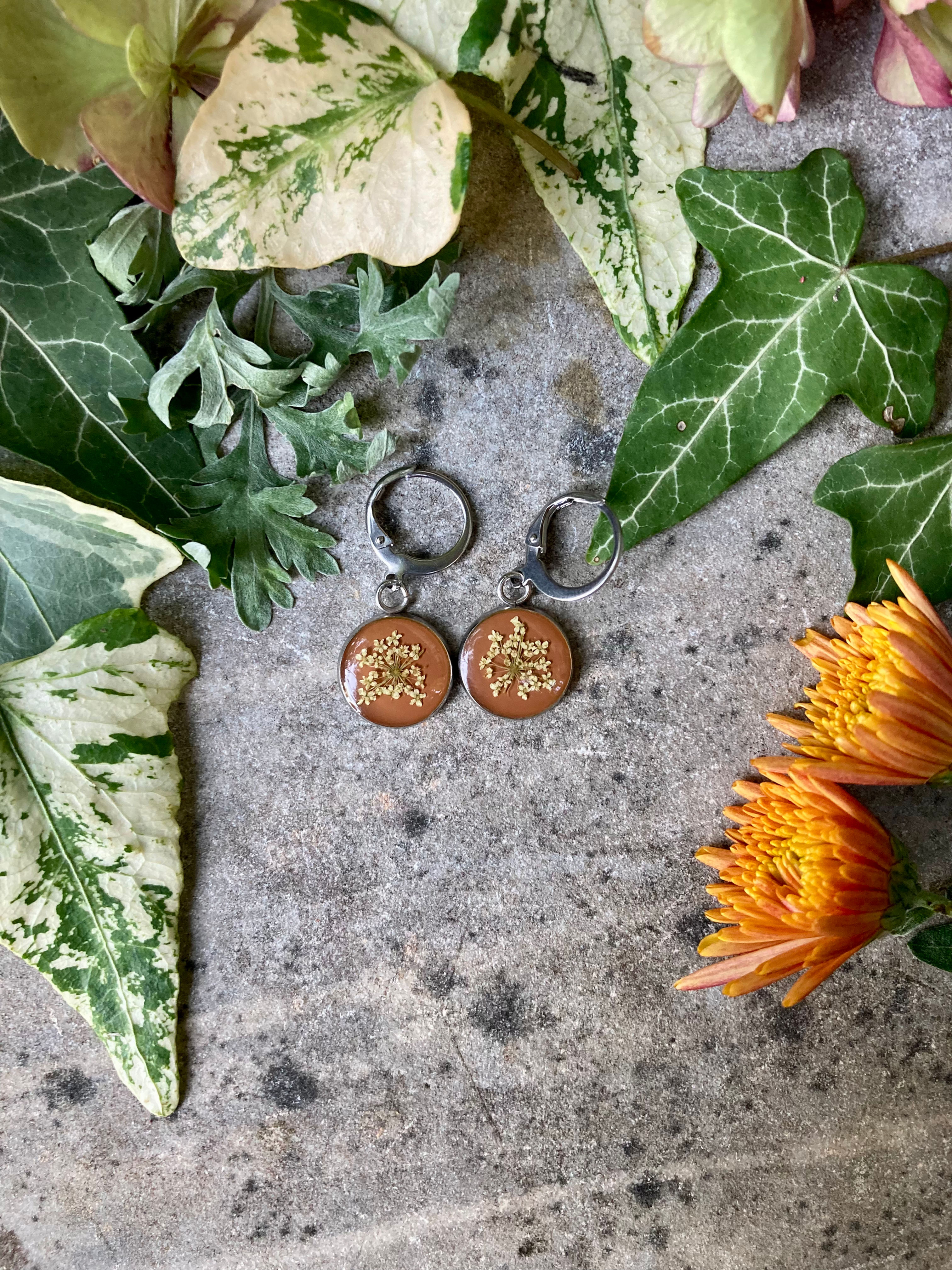 Monachelle con Carota selvatica