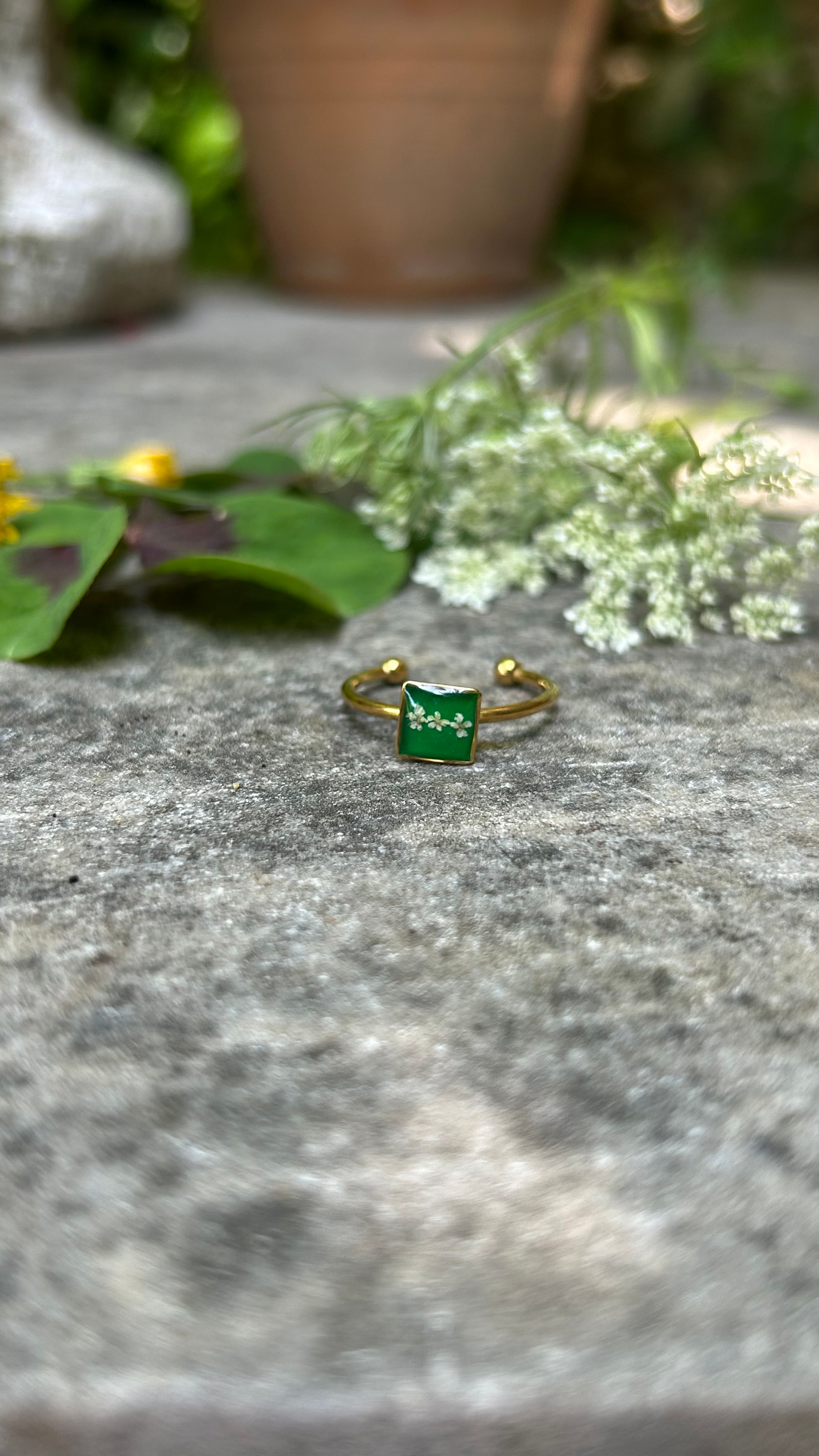 Anello con Carota selvatica