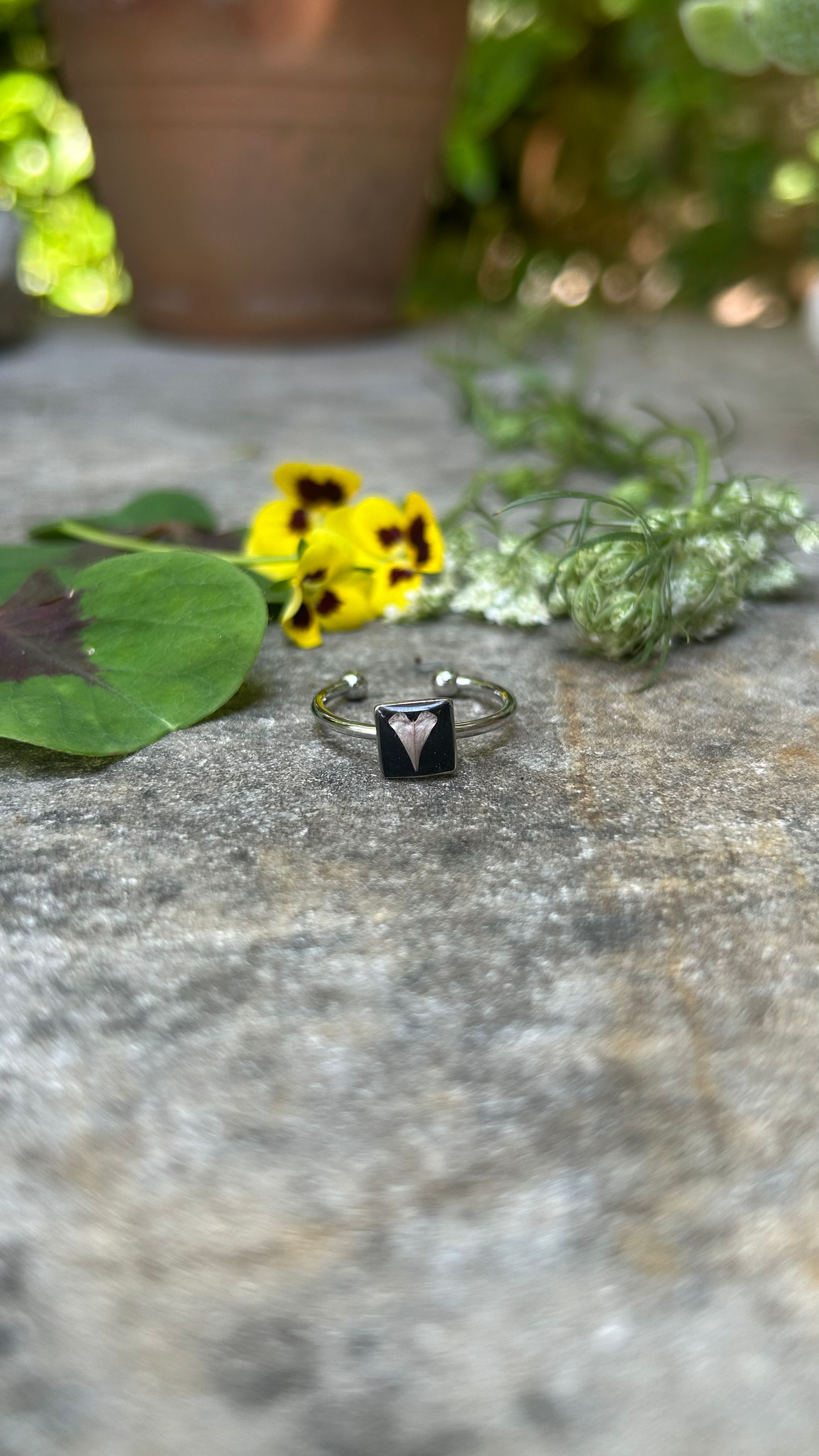 Anello con Borsa del pastore