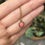 Miniatura: Collana con Carota selvatica