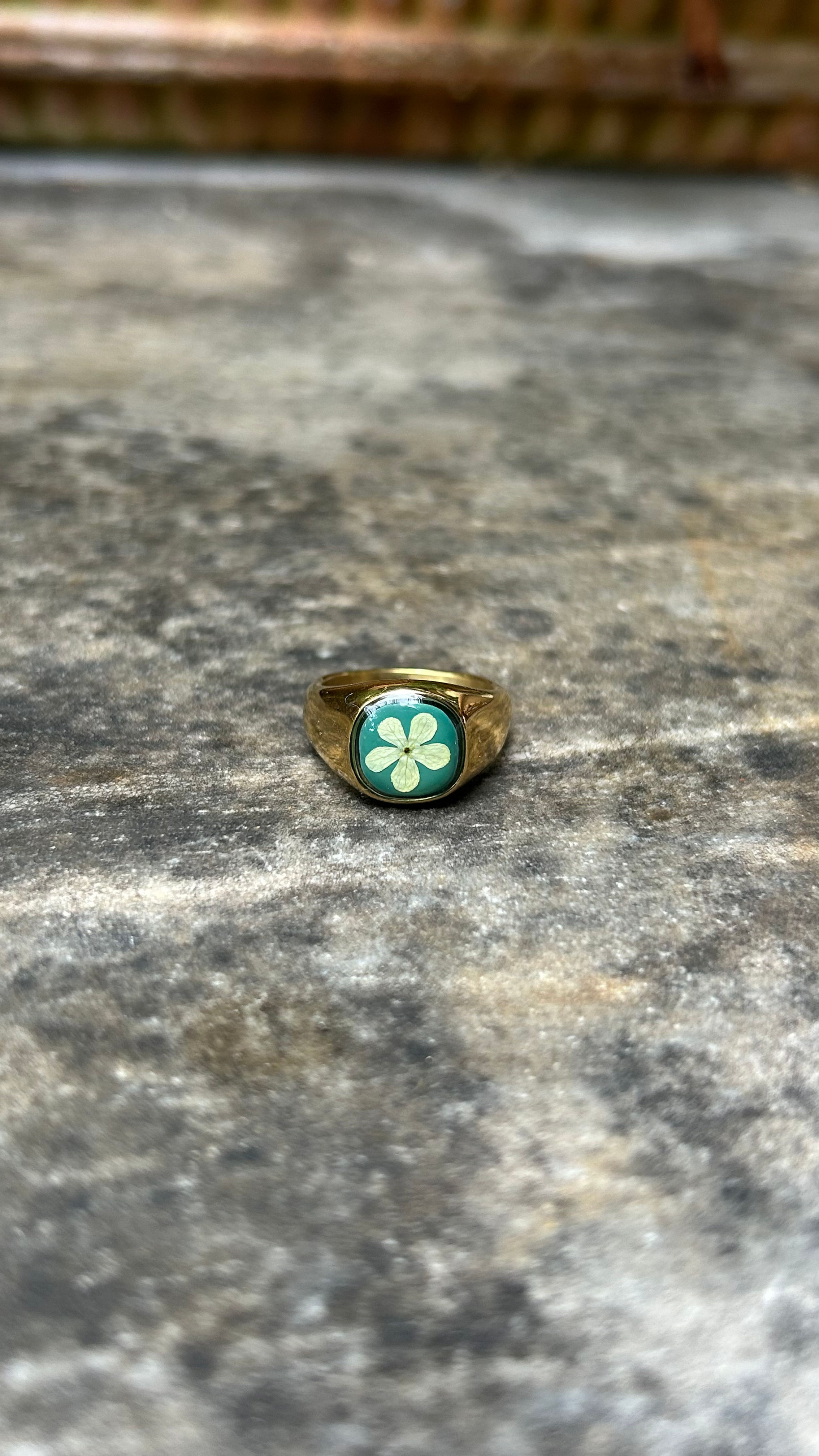 Anello chevalier con Viburno