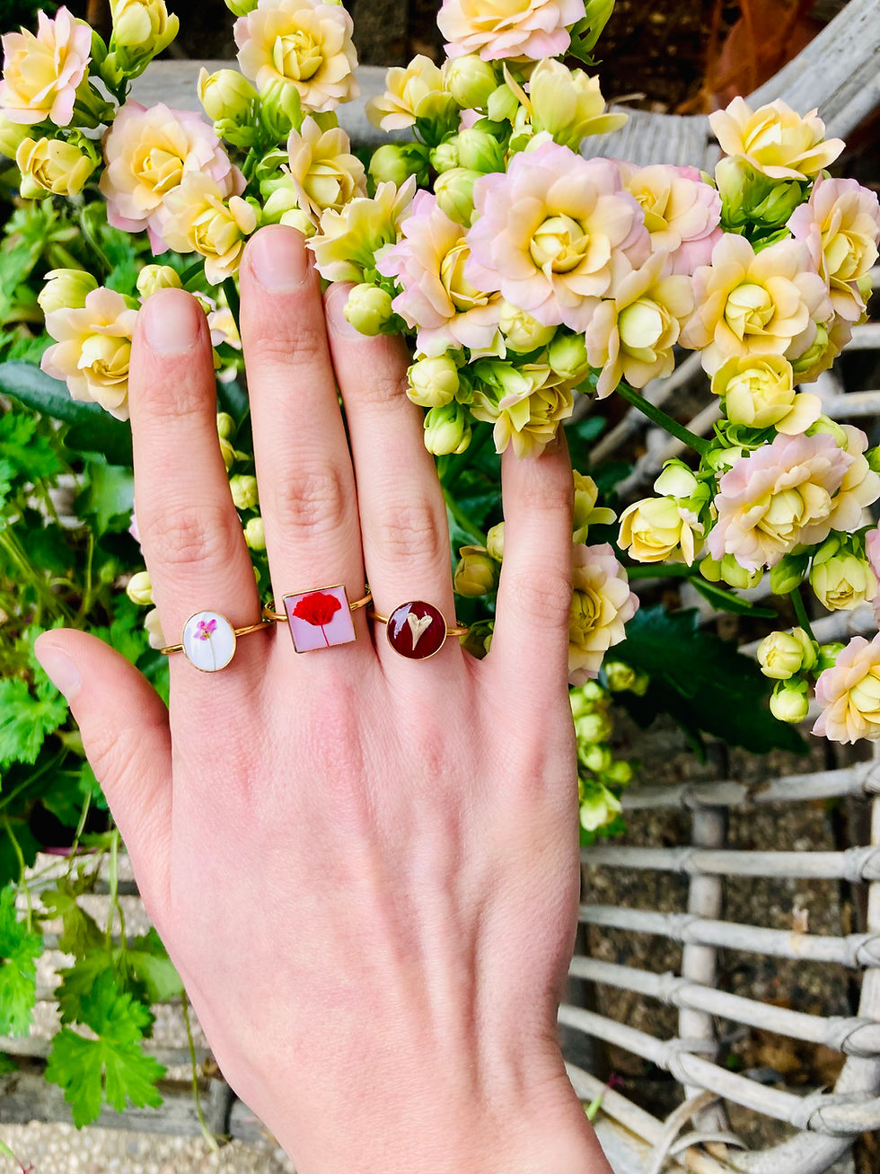 Miniatura: Anello con Lobularia