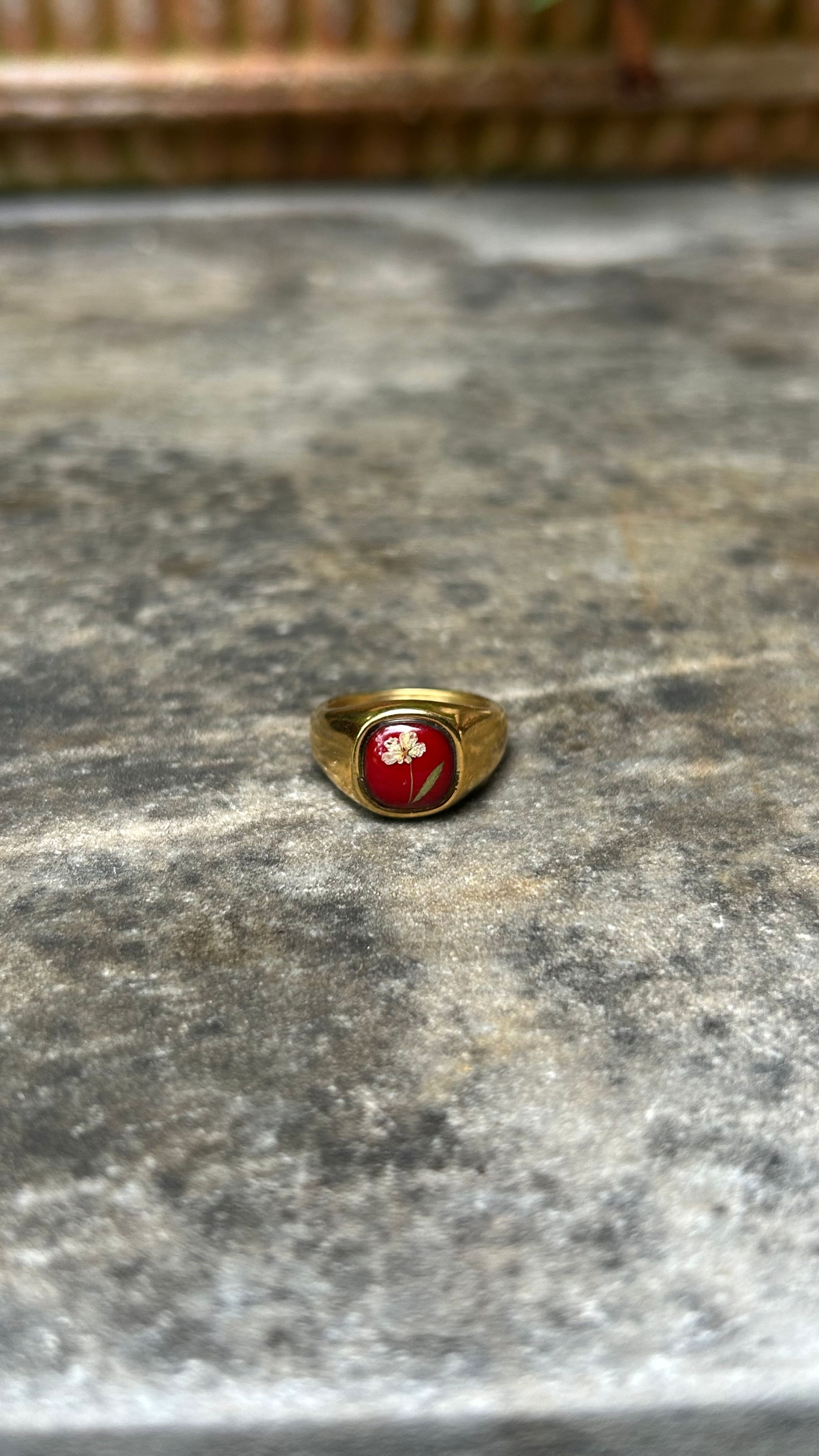 Anello chevalier con Carota selvatica