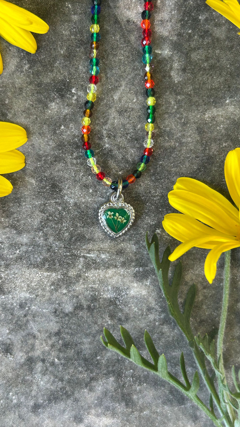 Miniatura: Collana con Carota selvatica