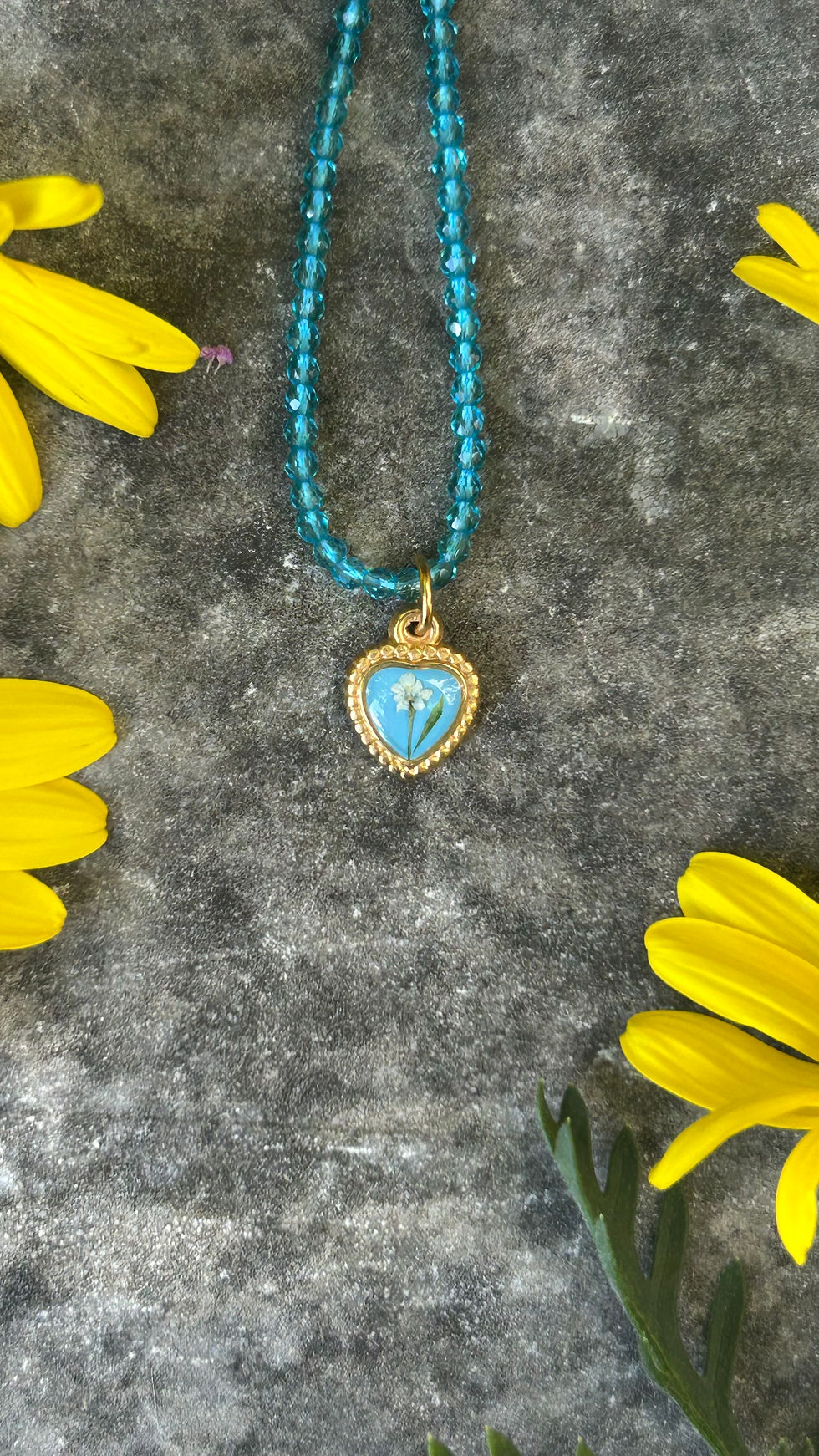 Miniatura: Collana con Carota selvatica