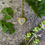 Miniatura: Collana con Carota selvatica