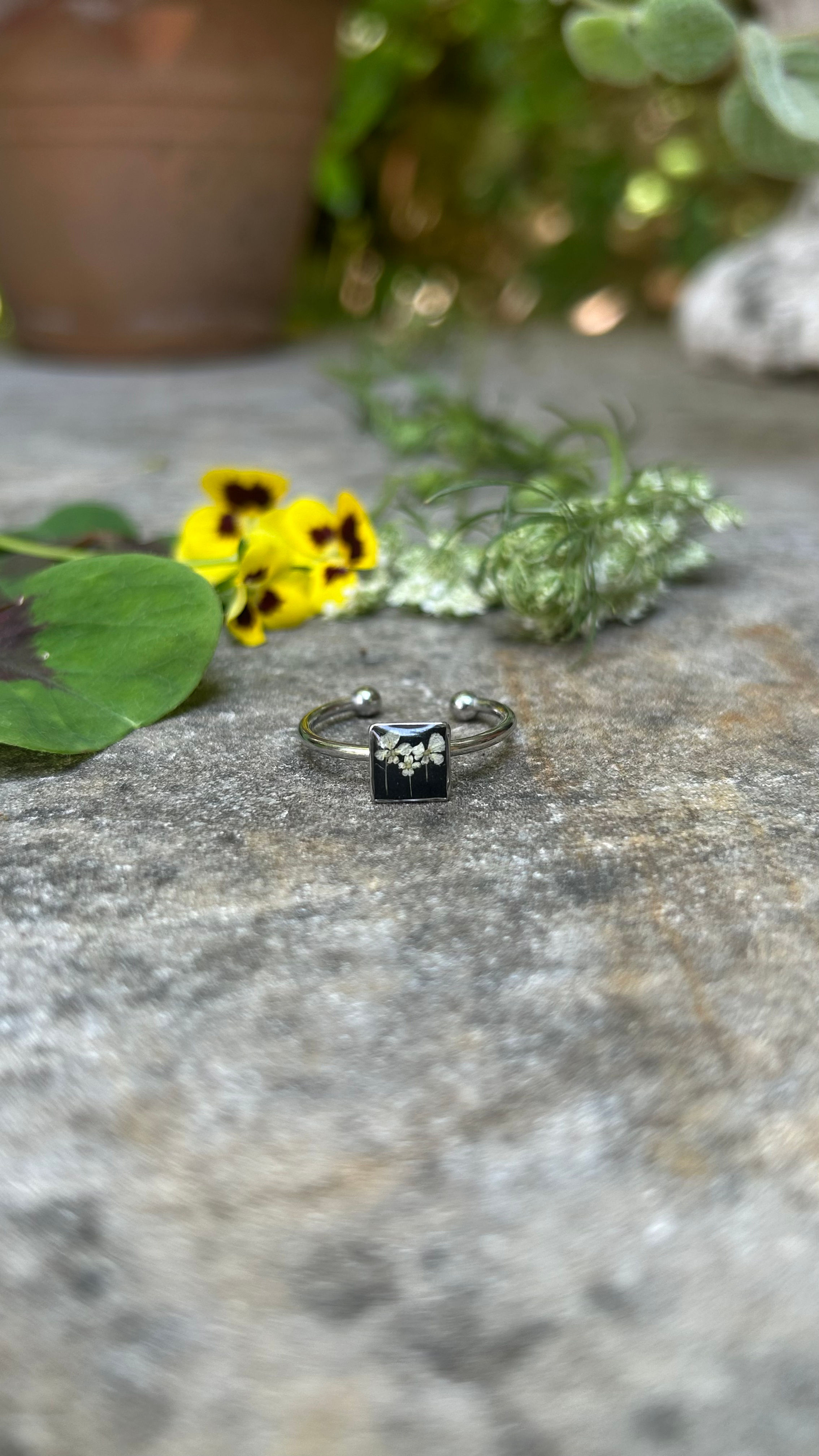 Anello con Carota selvatica