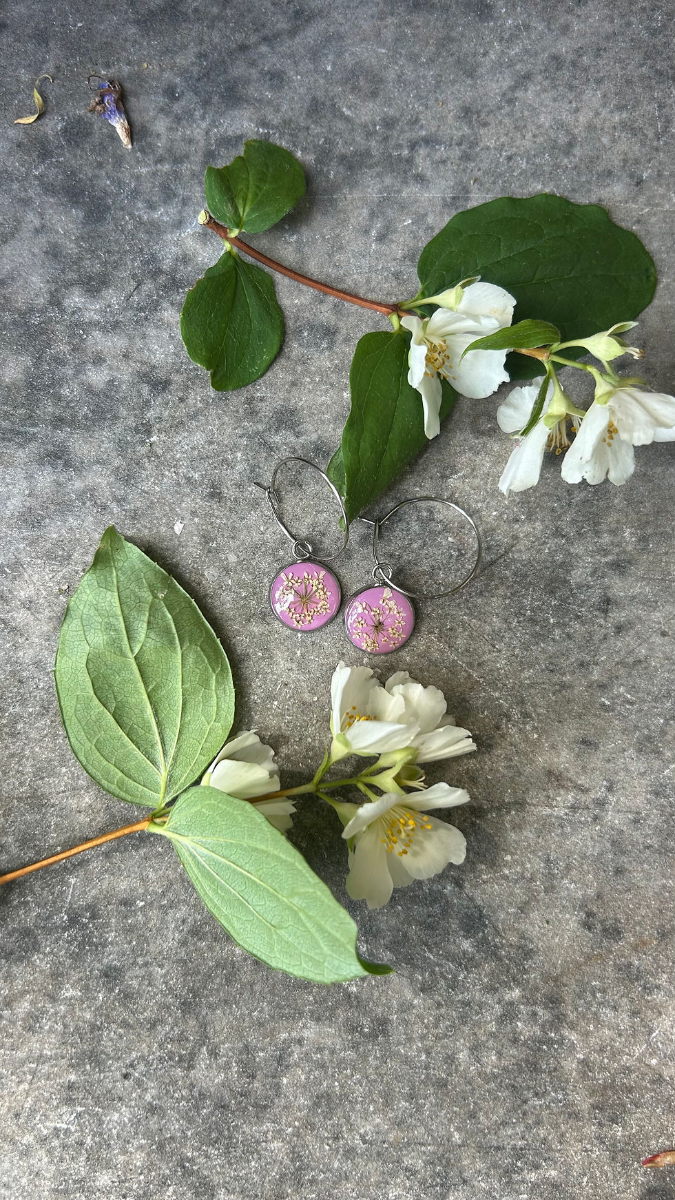 Miniatura: Cerchietti con Carota selvatica