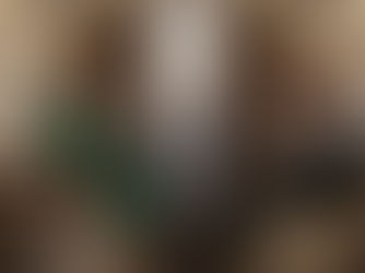 私人飞机空腿航班的公务机客舱与包机价格评估