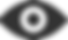 Icon (Vision).png