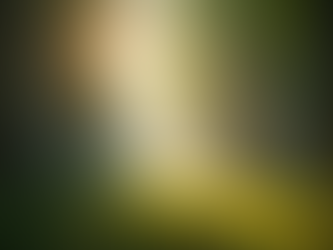 Ascending Spiritually: A Journey of Transformation