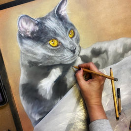 Pet Portraits-Cats