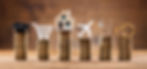 SRS Capital Banners 3.jpg