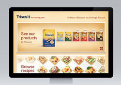 iMacTRISCUIT_edited_edited