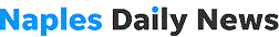 NDN logo web.gif