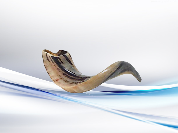 Shofar or Yom Kippur