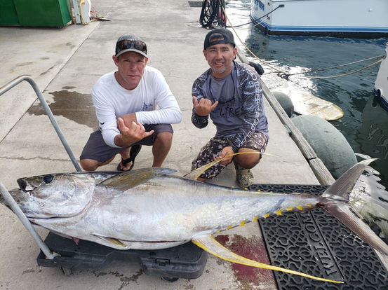 ahi tuna caught on the Big island of hawaii