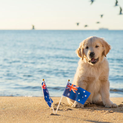 Cheers, Mates! Celebrating Australian Holidays with a Dash of Down Under