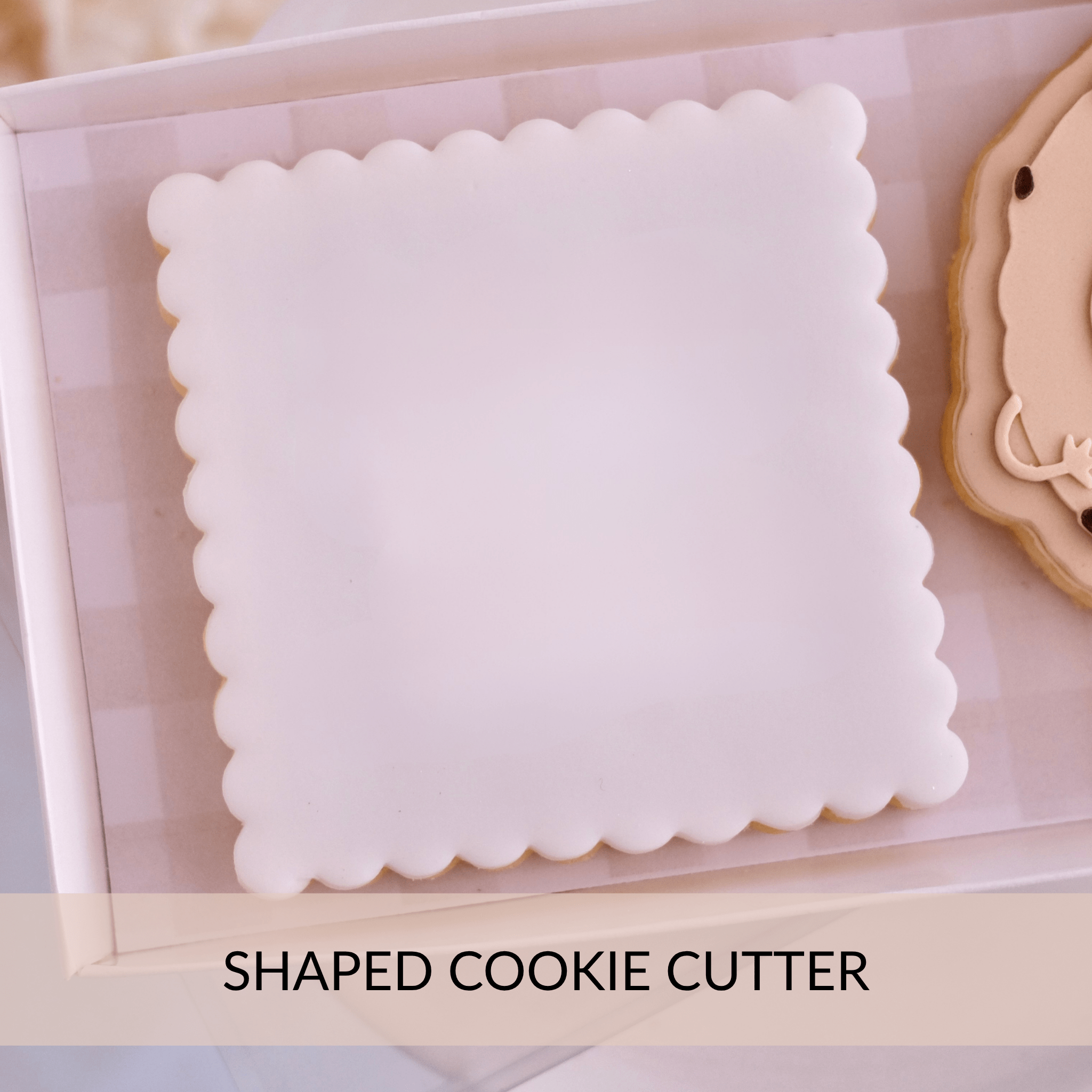 square scalloped edge cookie showing the cutter shape