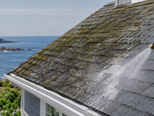 Can Roof Cleaning Products Damage Your Roof and Landscaping?