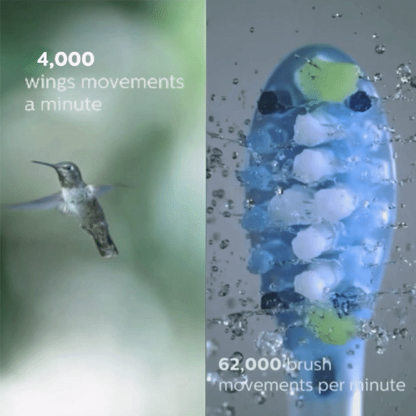 ezgif.com-gif-maker (6).gif