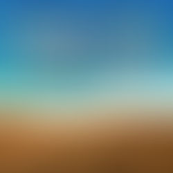 常年期第十五主日