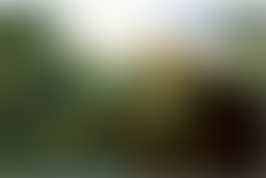 常年期第五主日