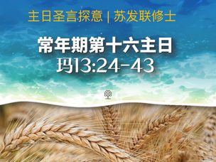 常年期第十六主日