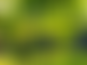 常年期第二十六主日