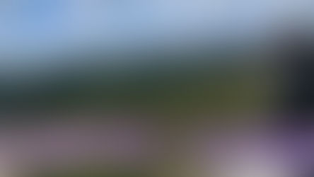 悔改不是讓你覺得糟,而是讓你重新開始