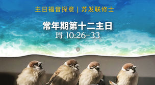常年期第十二主日