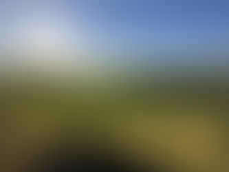 慶祝每一個活著的清晨