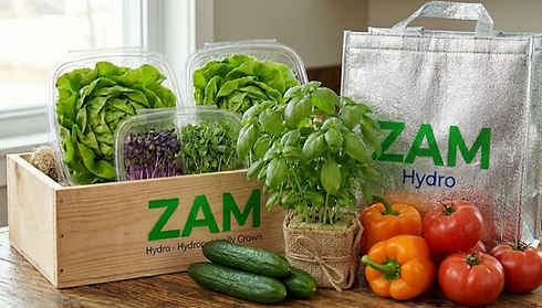 ZAMHydro_LivingSaladBox4.png