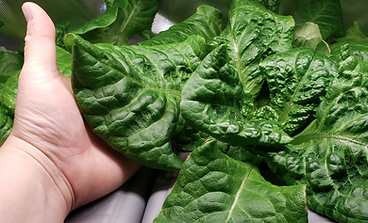 Screenshot 2025-11-24 111421.png