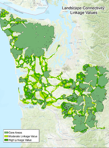 Spatial map