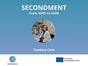 Teodora Cato - Secondment from IORS to VHIR