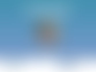 Teodora Cato - Secondment from IORS to VHIR