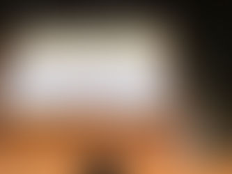 Prof. Jérôme Moreaux at ESCCA