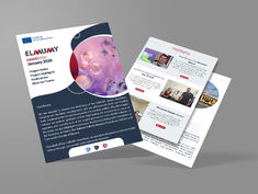 The ELMUMY Newsletter January 2026