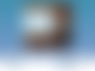 Dr. Anđelo Beletić participated in ‘Vall d'Hebron Talks by VHIR‘