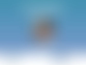 Lidija Filipović - Secondment from ICFC to HPI