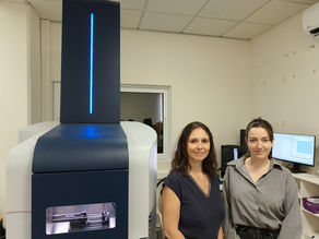 200-sample dataset milestone