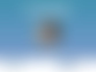 Niki Vassilaki - Secondment from HPI to RWTH