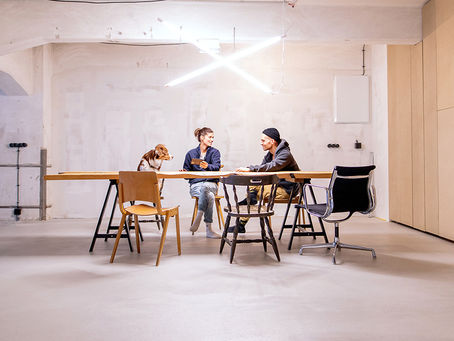 Vollzeitjob mit Hund? So funktionierts!