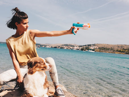 Wasserspritzer - die einfache Hundeerziehung