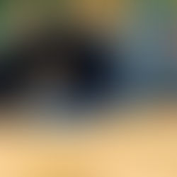 Hund beim Agility-Training – künstliche Auslastung statt natürlicher Beschäftigung im Alltag