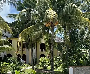 Palmen vor einem gelben Resortgebäude unter blauem Himmel.