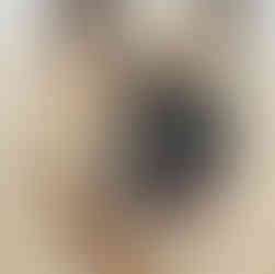 CLose up of a German shepard's face while panting on the beach