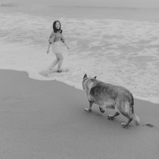 Dog follows woman into the ocean